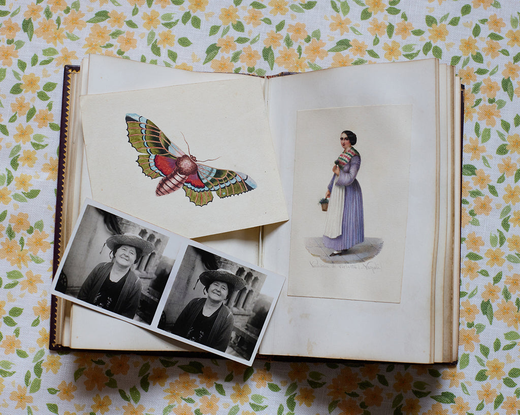 The Miniaturists ~ and other stories from my ancestors.