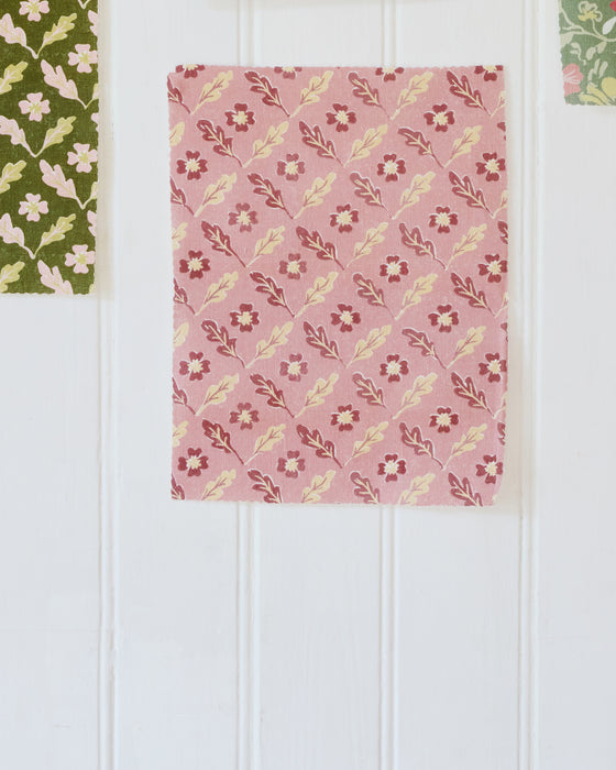 Oxalis Oak linen, rose