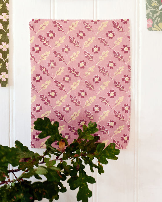 Oxalis Oak linen, rose