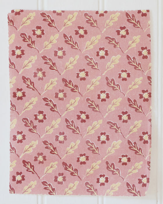 Oxalis Oak linen, rose