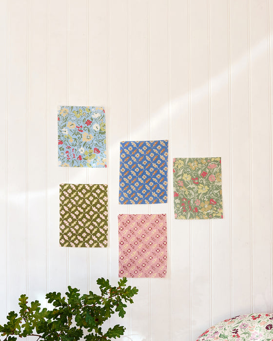 Oxalis Oak linen, rose