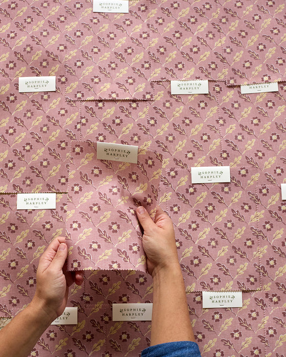 Oxalis Oak linen, rose