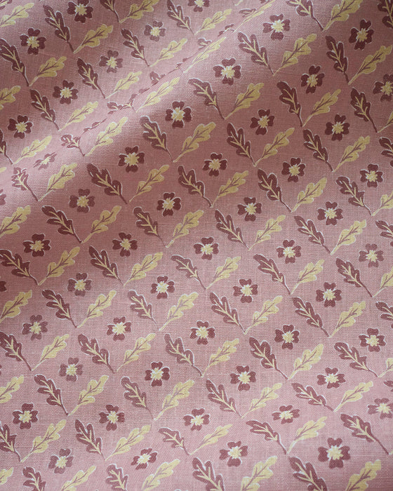 Oxalis Oak linen - rose