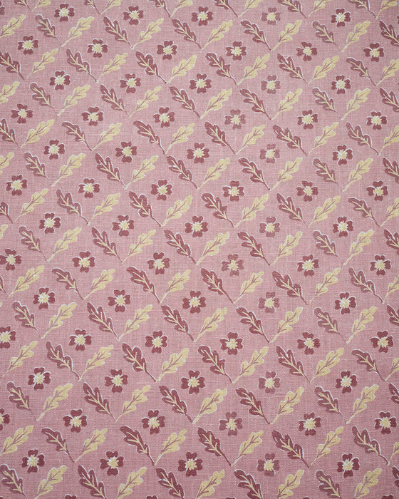 Oxalis Oak linen - rose