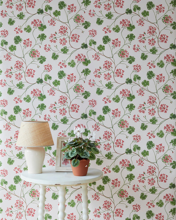 Geraniums wallpaper